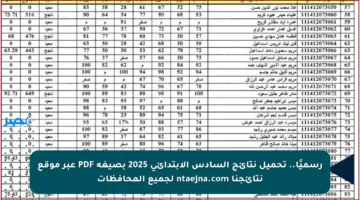 رسميًا.. تحميل نتائج السادس الابتدائي 2025 بصيغة PDF عبر موقع نتائجنا ntaejna.com لجميع المحافظات